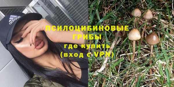 крисы Богданович