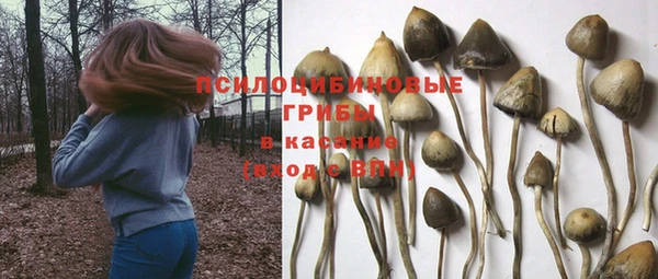 крисы Богданович