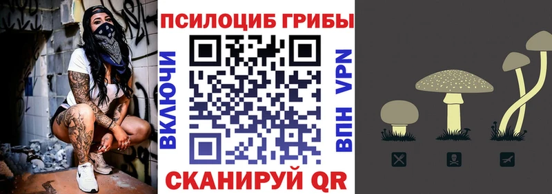 Псилоцибиновые грибы Cubensis  darknet формула  Бор  закладки 